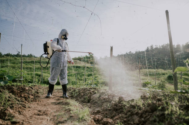 Best Commercial Pest Control Services  in Lincoln, AR