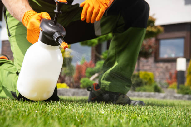 Wildlife Control Services in Lincoln, AR